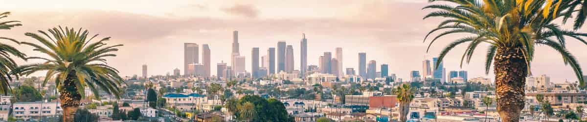 Los Angeles image