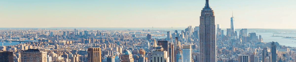 New York City image