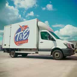 T&E Movers logo