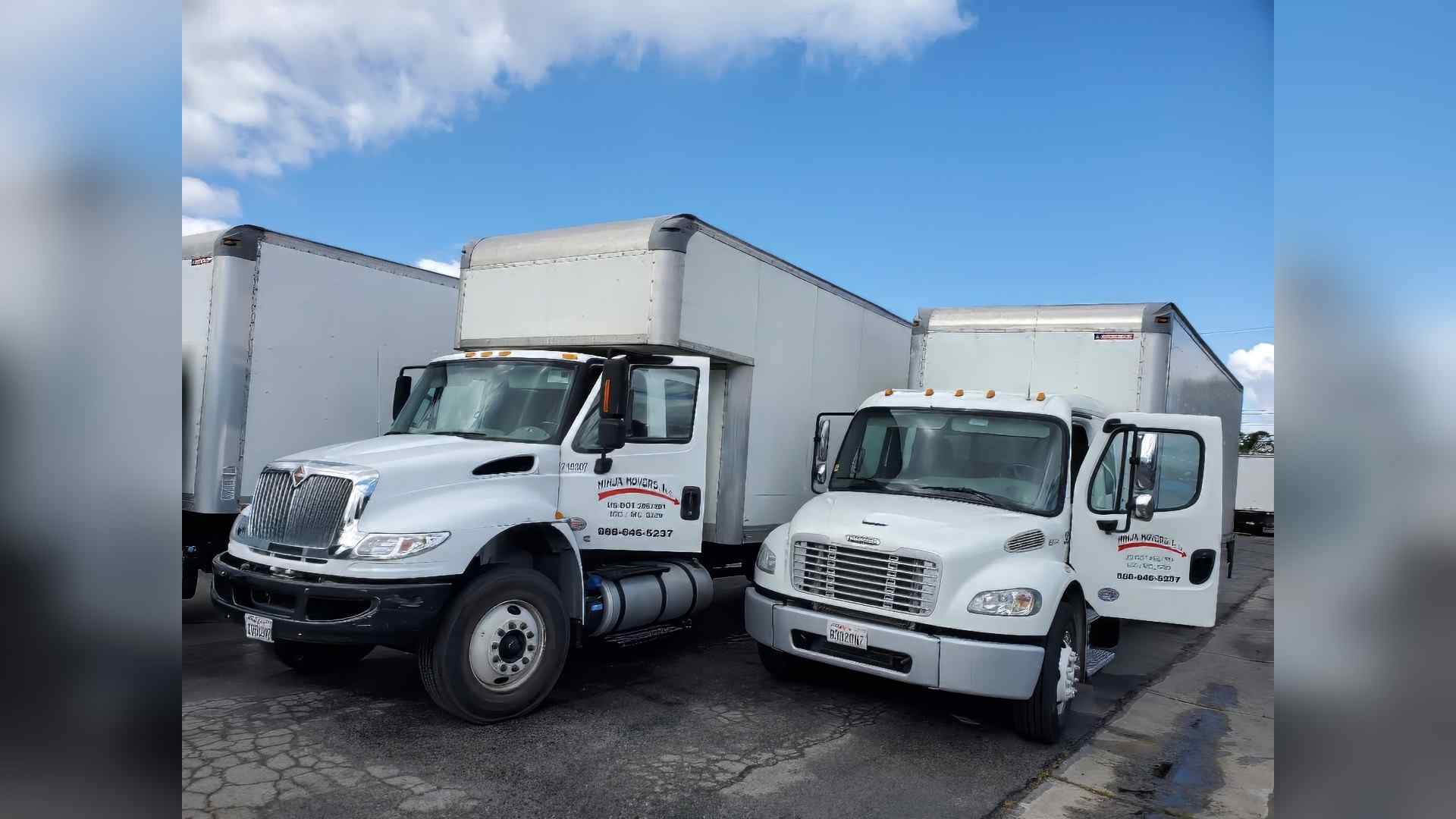 Company Image